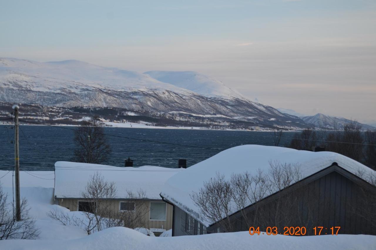 A Nice And Quiet Place Near To Trosmo City Appartement Tromsø Buitenkant foto